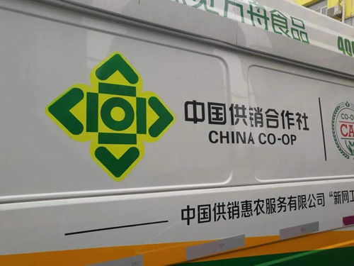 供销社喊你赶大集 岁月深处的温暖市集，物资供销的新春交响